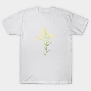 yellow early goldenrod watercolor painting T-Shirt